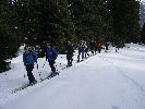 USI-Brenner 05.-09.03.2007-thb05.jpg